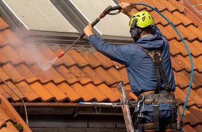 Démoussage et hydrofuge de toiture à Goutevernisse